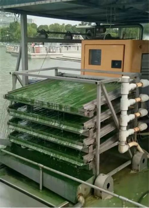 常州武進 垃圾變肥料 污水再生利用——以循環利用守護綠水青山