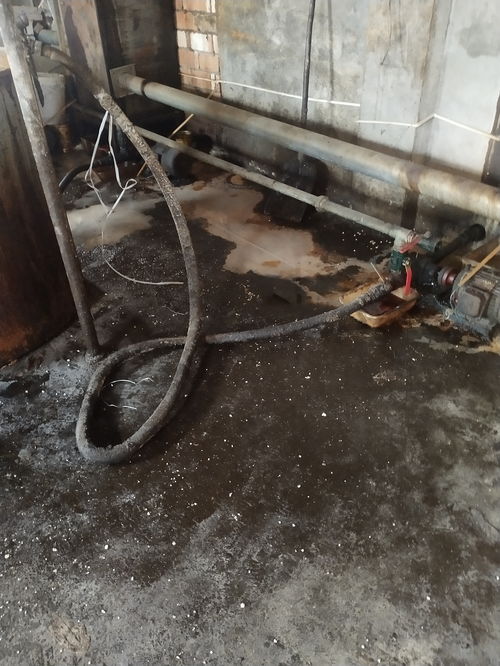 饒陽食品企業廢水直排疑云 環保部門回應與污水處理反思