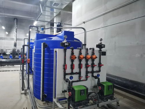 藏于芳草之下 探秘宜昌的生態型污水處理廠